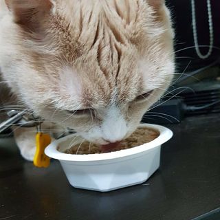 희야♡님이 올린 리뷰 사진 3