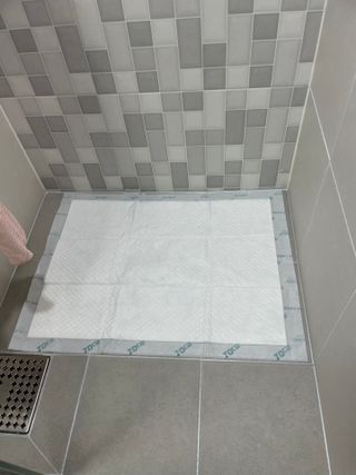 아베크 펫 와이드 프리미엄 대형 애견 강아지 배변 패드 30매 1팩 80g — 5점을 준 리뷰어가 2021년 7월 올린 사용 사진