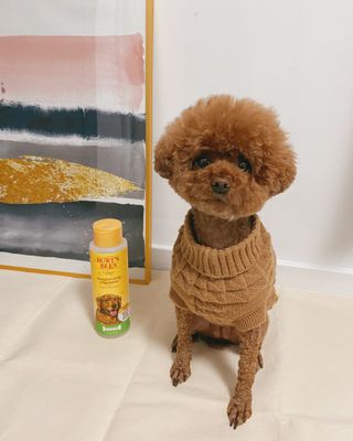 조이님이 올린 리뷰 사진 4