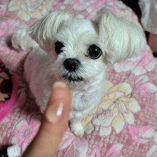 엣헴님이 올린 리뷰 사진 2