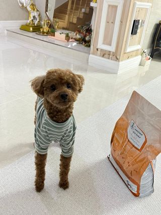 늘봄님이 올린 리뷰 사진 2