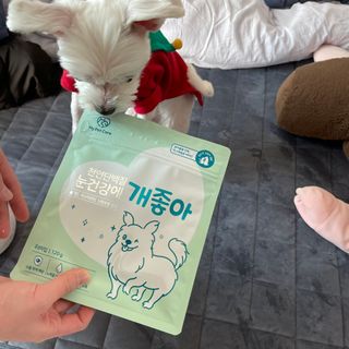 My Pet Care 천연단백질 눈건강에 개좋아 — 3.5점을 준 리뷰어가 2021년 2월 올린 사용 사진