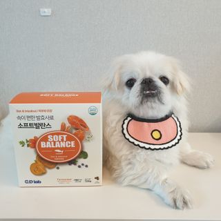 씨디랩 속이 편한 강아지 사료 소프트발란스 기호성 좋은 발효사료 피부와 위장 관절과 위장 — 5점을 준 리뷰어가 2021년 3월 올린 사용 사진