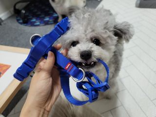 김이설님이 올린 리뷰 사진 1