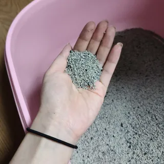 루잉루잉님이 올린 리뷰 사진 3