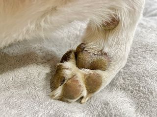 Jenny님이 올린 리뷰 사진 4