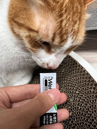 크리미님이 올린 리뷰 사진 1