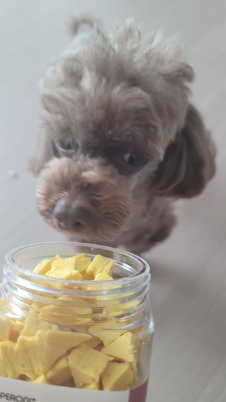 페페로니 진짜 프리바이오틱스 치즈+치즈고구마 180g+180g — 5점을 준 리뷰어가 2021년 7월 올린 사용 사진