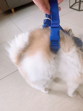 밍크마마님이 올린 리뷰 사진 3