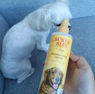 제잉님이 올린 리뷰 사진 3