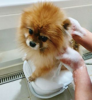 박성혜님이 올린 리뷰 사진 3