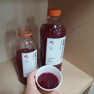 트롯전통식혜 트롯레드비트식혜 1리터 +500리터 — 5점을 준 리뷰어가 2021년 5월 올린 사용 사진