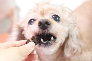 김이설님이 올린 리뷰 사진 3