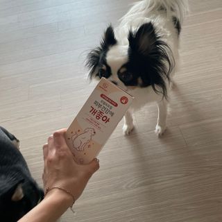 하림님이 올린 리뷰 사진 3