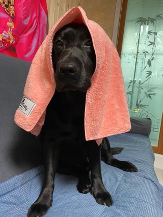 Lilly❤️님이 올린 리뷰 사진 2