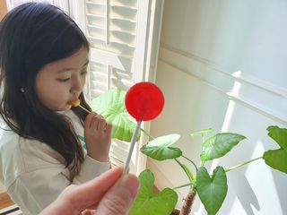 큰꿈님이 올린 리뷰 사진 3