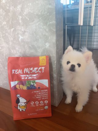 리디아은서님이 올린 리뷰 사진 3