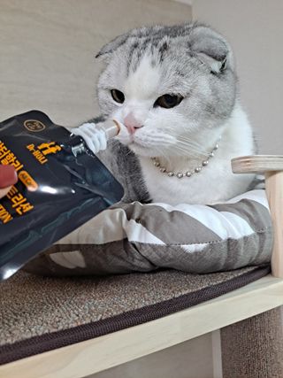 라니으니님이 올린 리뷰 사진 2