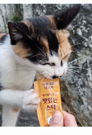 임방글님이 올린 리뷰 사진 2