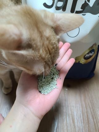 까꿍님이 올린 리뷰 사진 3