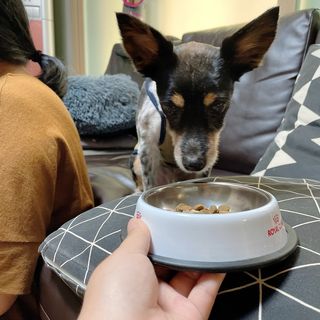 바이미르님이 올린 리뷰 사진 1
