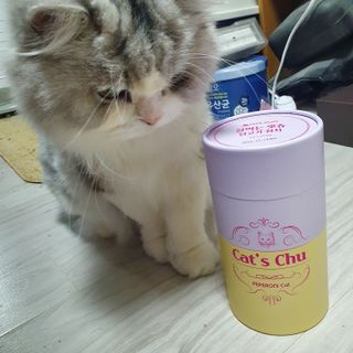 페페로니 잘 먹는 캣츄 - 무항생제 닭고기 12개 + 원양선 참치 12개 — 5점을 준 리뷰어가 2021년 8월 올린 사용 사진