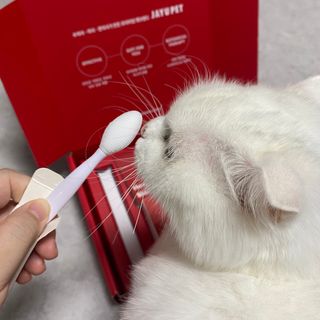[자유펫] 고양이 턱드름 여드름 예방 및 제거 세트, 블랙씨드케어박스 — 5점을 준 리뷰어가 2021년 10월 올린 사용 사진