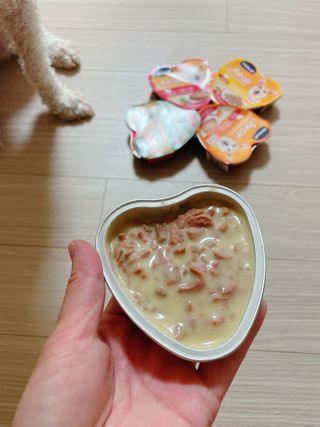 비타크래프트 조에시 하트캔 85g 강아지 습식캔 10캔 — 5점을 준 리뷰어가 2021년 8월 올린 사용 사진