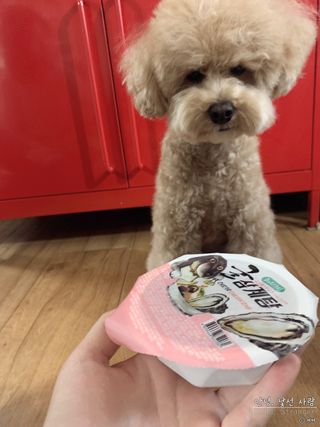 ve_randa님이 올린 리뷰 사진 1