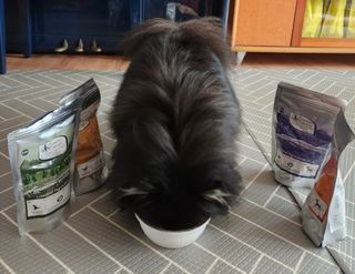 성욘님이 올린 리뷰 사진 2