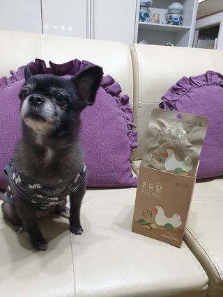 도그퓨어 푸드닭 강아지 닭고기 통살 애견간식 오리지널/차전자피/초록입홍합 — 4.5점을 준 리뷰어가 2021년 11월 올린 사용 사진