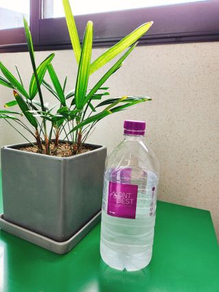 몽베스트 MONTBEST 1L 12입 — 5점을 준 리뷰어가 2022년 3월 올린 사용 사진