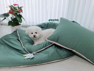 ChoreumKim님이 올린 리뷰 사진 2