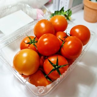 레드닥터 완숙토마토 + 통째로 동결건조한 대추방울토마토 — 5점을 준 리뷰어가 2022년 11월 올린 사용 사진