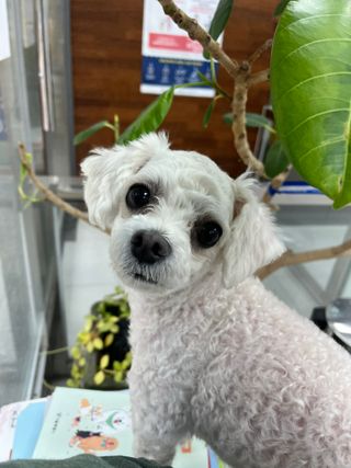 이아님이 올린 리뷰 사진 1