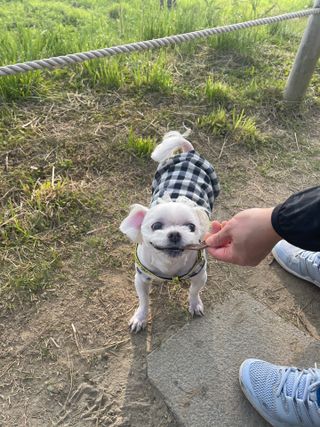 에린님이 올린 리뷰 사진 2