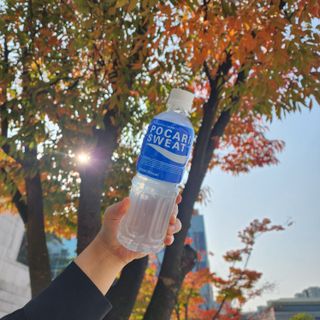 엘라유님이 올린 리뷰 사진 1