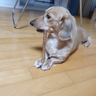 승희님이 올린 리뷰 사진 3