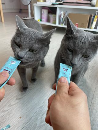 여온님이 올린 리뷰 사진 1