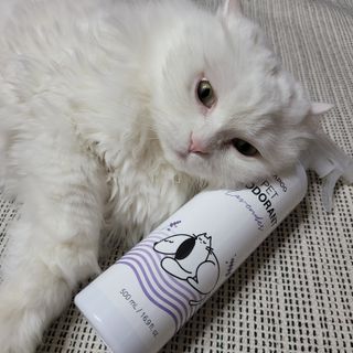 Woo7C님이 올린 리뷰 사진 1