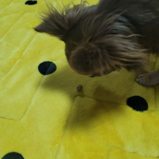 나초단맘님이 올린 리뷰 사진 4