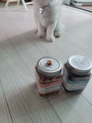 페페로니 진짜 오메가3 연어+소고기 180g+180g — 5점을 준 리뷰어가 2021년 7월 올린 사용 사진