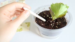 연이님이 올린 리뷰 사진 3