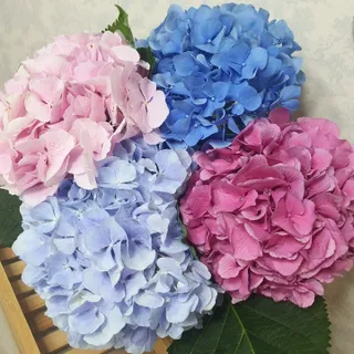 사막여우님이 올린 리뷰 사진 2
