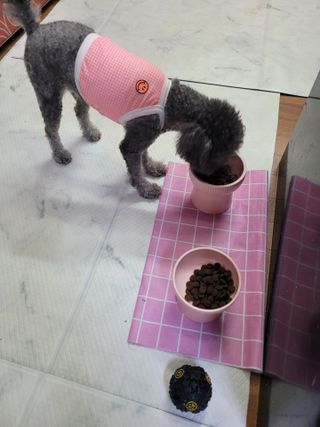포비맘님이 올린 리뷰 사진 3