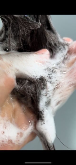 바노피파이님이 올린 리뷰 사진 3