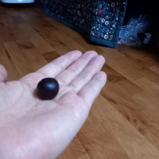광동생활건강 광동 명품보력환 3.75g x 30환 — 5점을 준 리뷰어가 2023년 4월 올린 사용 사진
