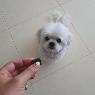 미진냥님이 올린 리뷰 사진 2