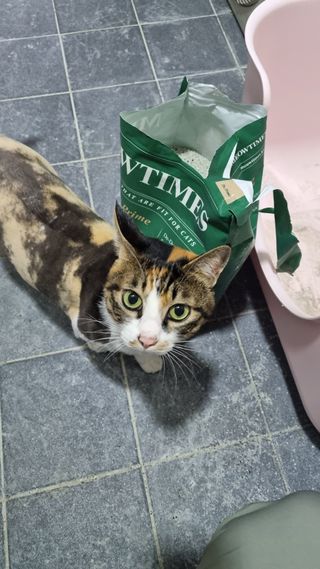 열일합시다님이 올린 리뷰 사진 1