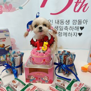 아루몽님이 올린 리뷰 사진 1